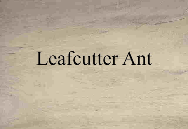 leafcutter ant