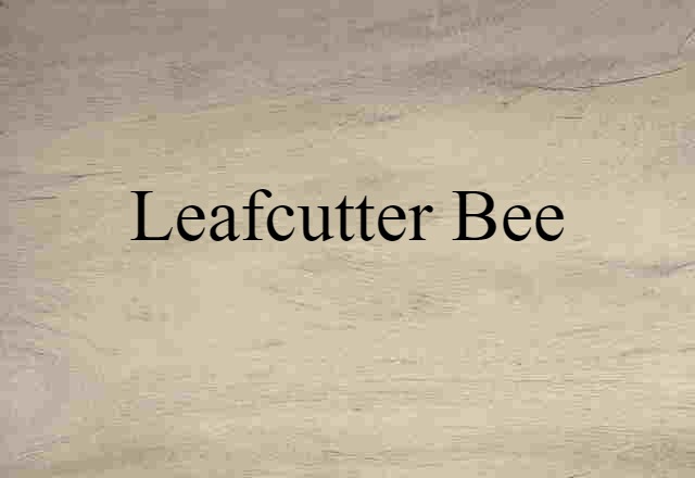 leafcutter bee