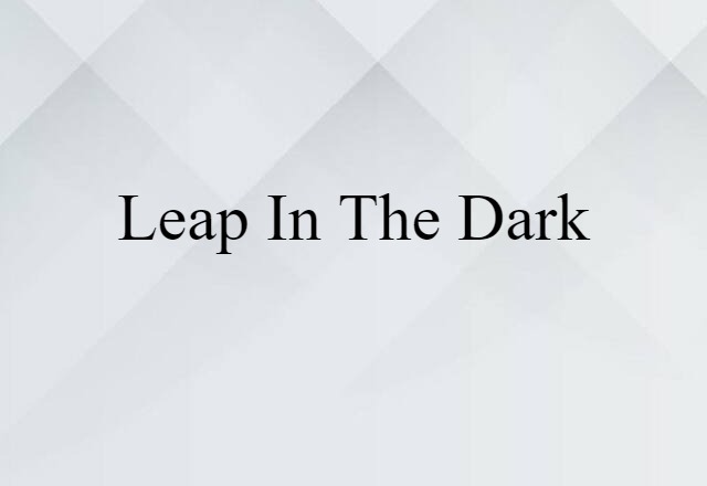 leap in the dark