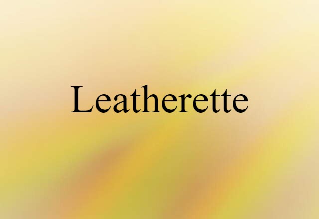 Leatherette (noun) Definition, Meaning & Examples