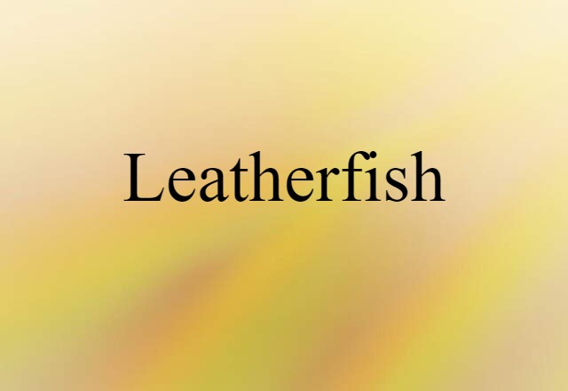 leatherfish