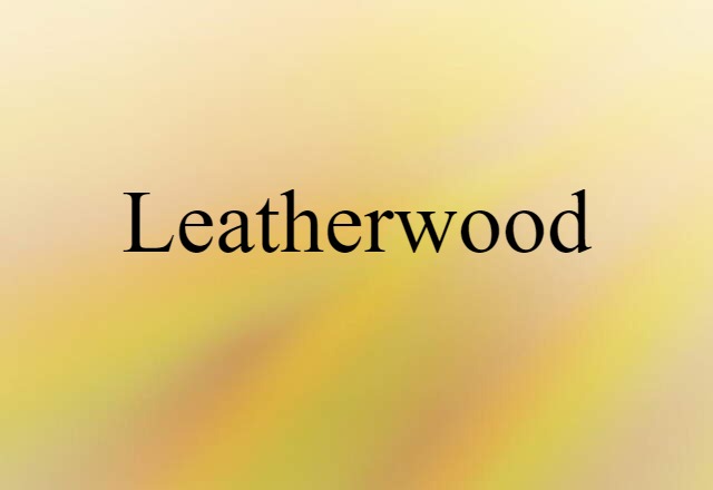 Leatherwood (noun) Definition, Meaning & Examples