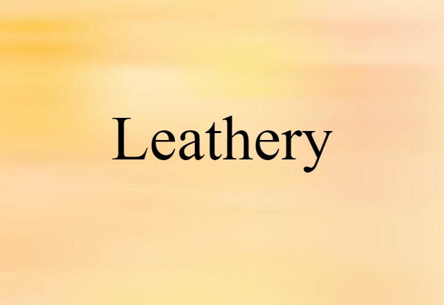 Leathery (noun) Definition, Meaning & Examples