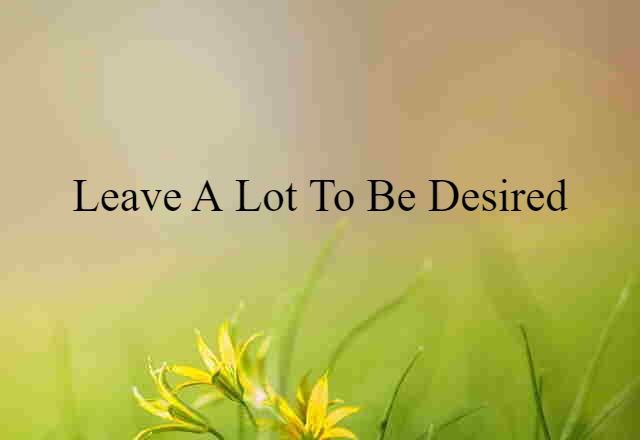 Leave A Lot To Be Desired (noun) Definition, Meaning & Examples