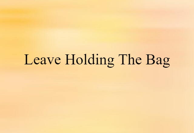 Leave Holding The Bag (noun) Definition, Meaning & Examples