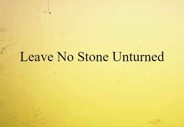 leave no stone unturned