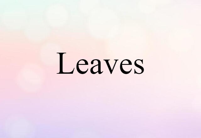 leaves