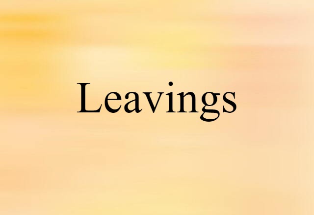 Leavings (noun) Definition, Meaning & Examples