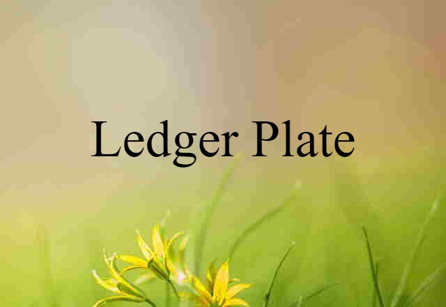 ledger plate