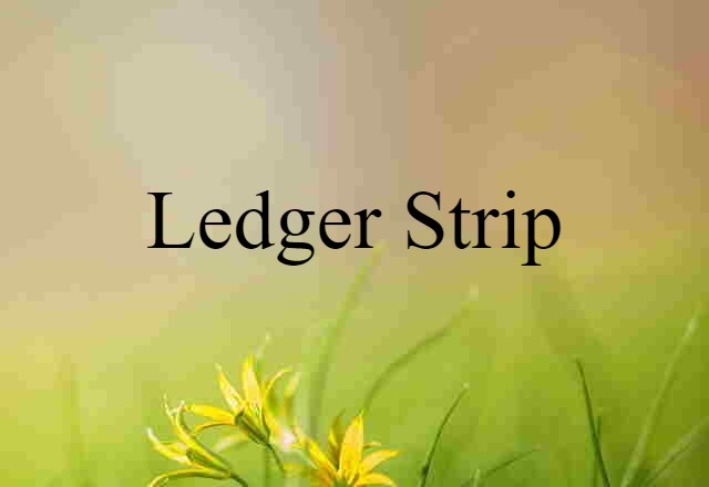 ledger strip