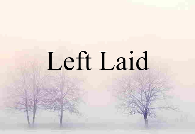 Left-laid (noun) Definition, Meaning & Examples