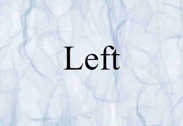 Left (noun) Definition, Meaning & Examples