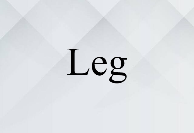 leg