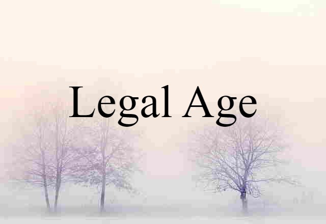 Legal Age (noun) Definition, Meaning & Examples