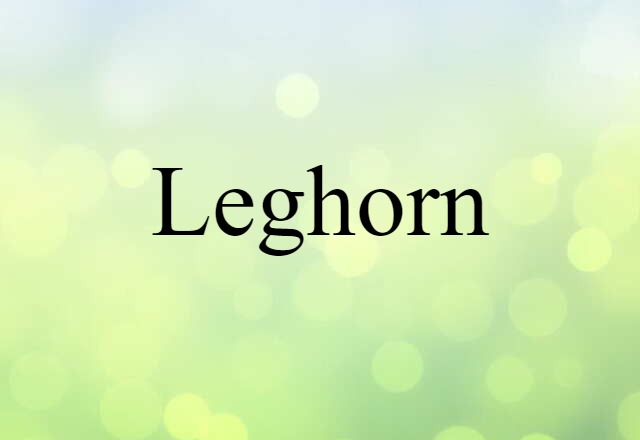 Leghorn (noun) Definition, Meaning & Examples