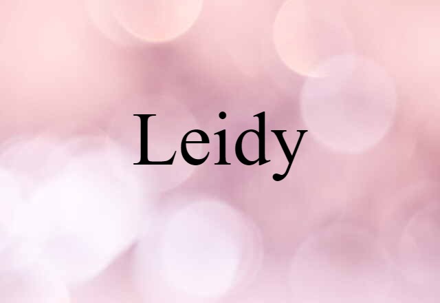 Leidy