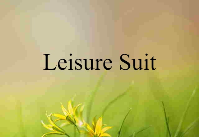 Leisure Suit (noun) Definition, Meaning & Examples