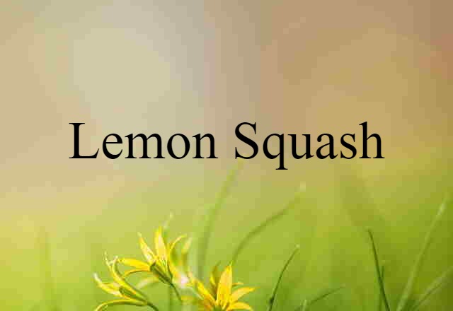 Lemon Squash (noun) Definition, Meaning & Examples