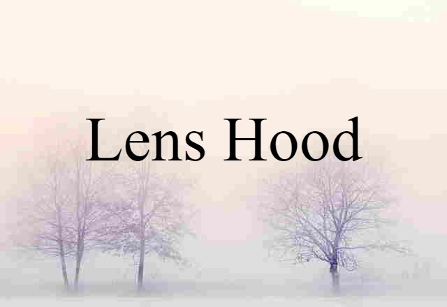 Lens Hood (noun) Definition, Meaning & Examples