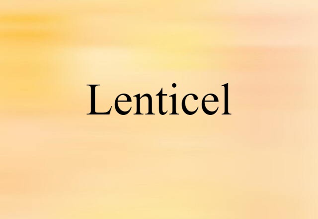 lenticel