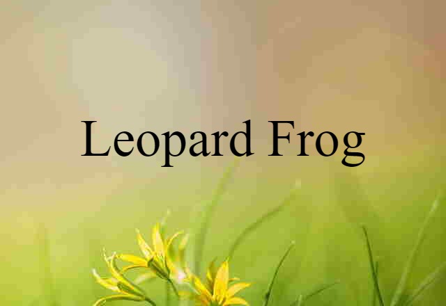 Leopard Frog (noun) Definition, Meaning & Examples