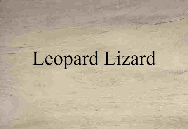 Leopard Lizard (noun) Definition, Meaning & Examples