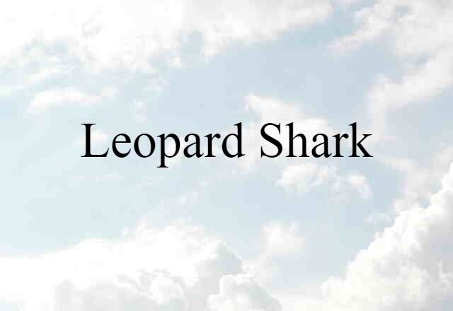 Leopard Shark (noun) Definition, Meaning & Examples