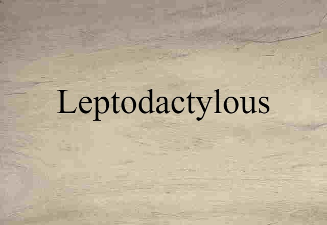 Leptodactylous (noun) Definition, Meaning & Examples