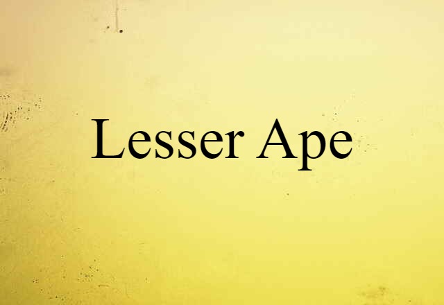 lesser ape