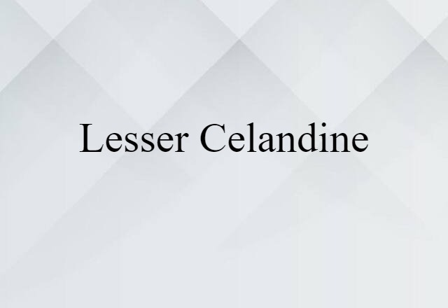 lesser celandine