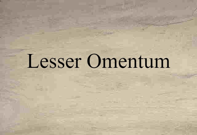 lesser omentum