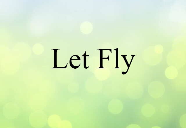 Let Fly (noun) Definition, Meaning & Examples