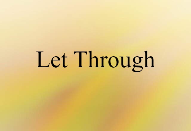 Let Through (noun) Definition, Meaning & Examples