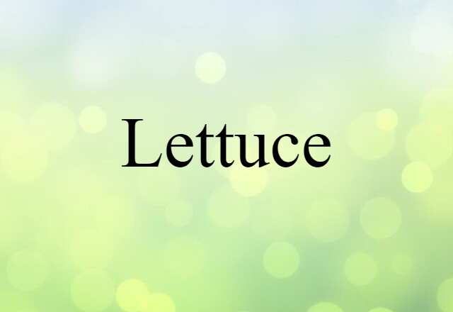 Lettuce (noun) Definition, Meaning & Examples