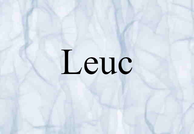 Leuc (noun) Definition, Meaning & Examples