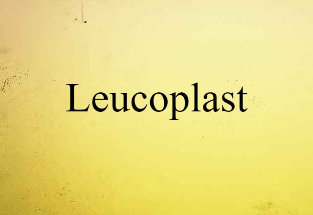 Leucoplast (noun) Definition, Meaning & Examples