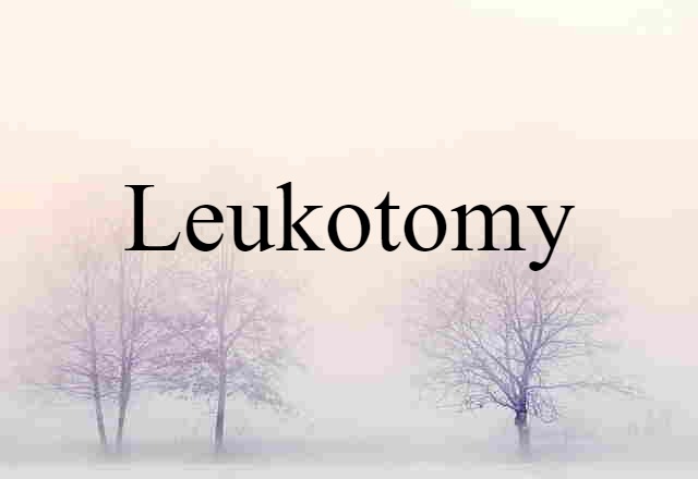 Leukotomy (noun) Definition, Meaning & Examples