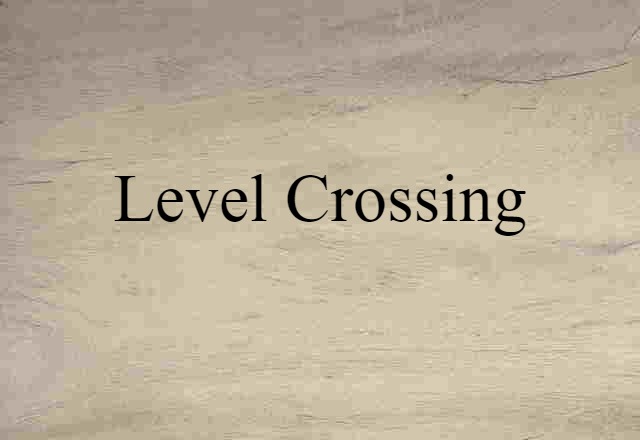 Level Crossing (noun) Definition, Meaning & Examples