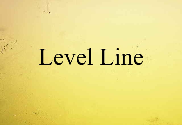 Level Line (noun) Definition, Meaning & Examples