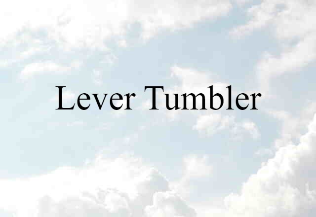 Lever Tumbler (noun) Definition, Meaning & Examples