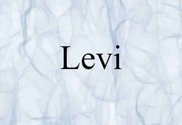 Levi (noun) Definition, Meaning & Examples