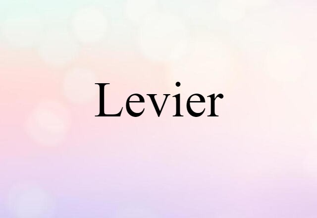 Levier (noun) Definition, Meaning & Examples