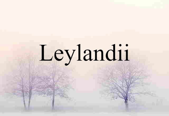 leylandii