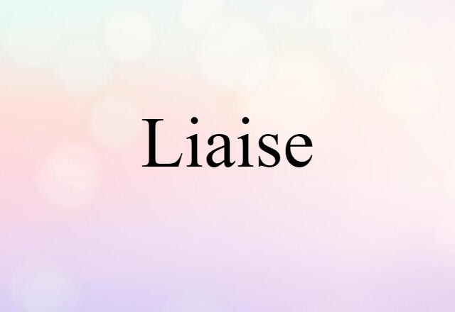 Liaise (noun) Definition, Meaning & Examples