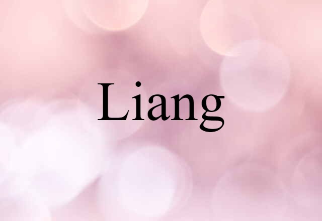 Liang (noun) Definition, Meaning & Examples