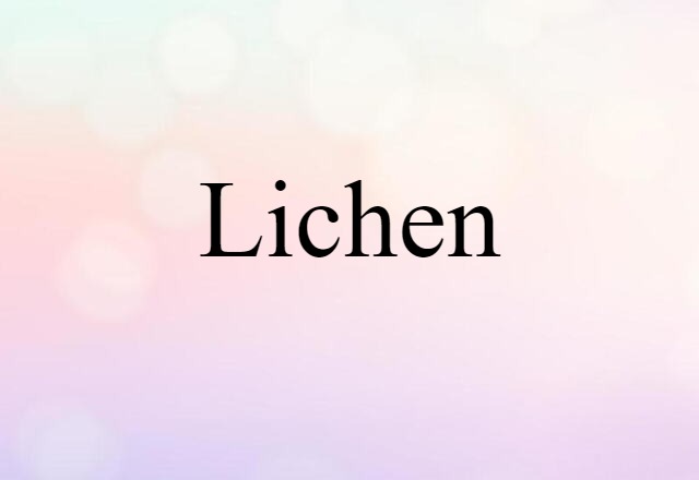 lichen