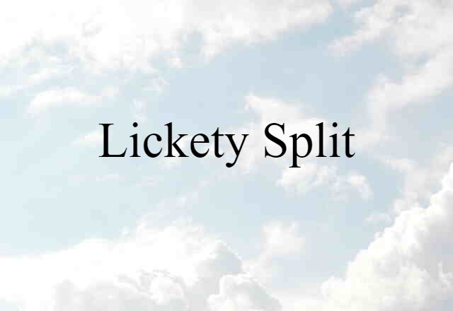 Lickety Split (noun) Definition, Meaning & Examples