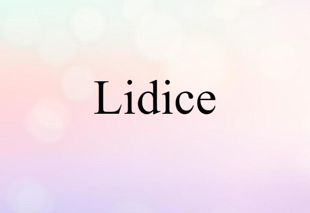 Lidice (noun) Definition, Meaning & Examples