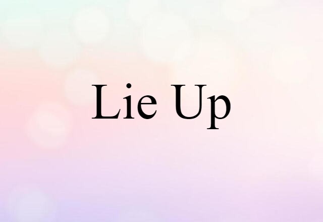 Lie Up (noun) Definition, Meaning & Examples