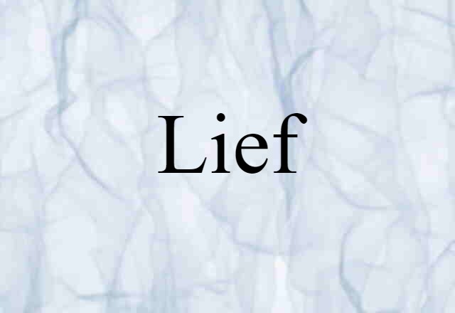 Lief (noun) Definition, Meaning & Examples